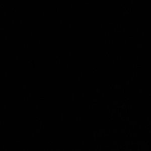 Meet your Posher, Karinna